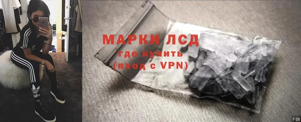 стаф Алзамай