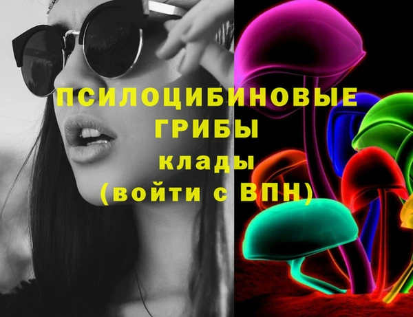 тгк Алексин