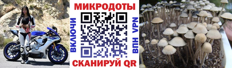 где купить наркоту Усолье-Сибирское Псилоцибиновые грибы GOLDEN TEACHER